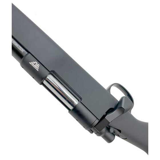 Golden Eagle fucile a molla vsr10 GSPEC bolt action rifle 10