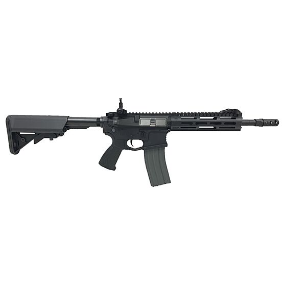 G&g m4 cm16 raider 2.0 electric gun (black)