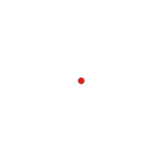 JJ Airsoft RMR LED red dot sight (grey)