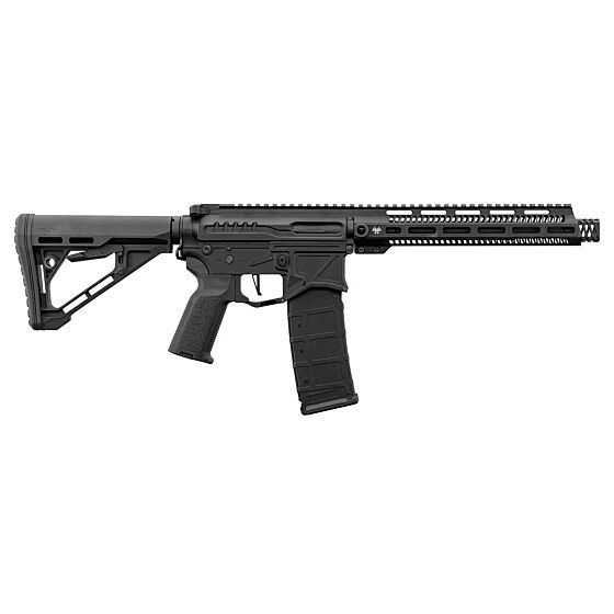 ZION ARMS fucile elettrico M4 R15 Long ETU (nero)