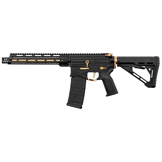ZION ARMS M4 R15 ETU Long electric gun (black/gold)