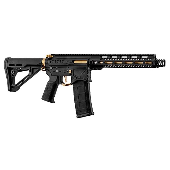 ZION ARMS M4 R15 ETU Long electric gun (black/gold)