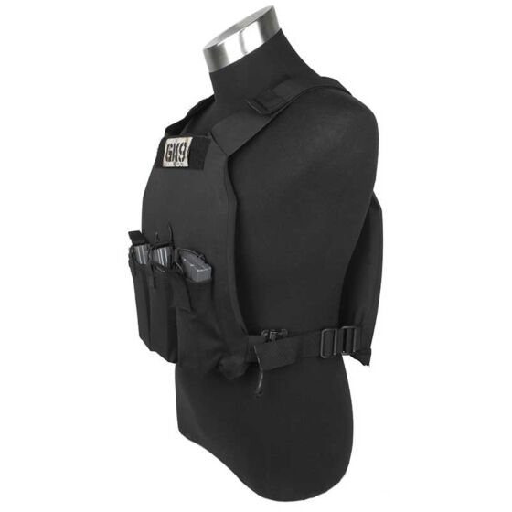 TMC navy seals style PO plate carrier (black)