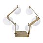 TMC FYT Outdoor STAR plate hanger target set