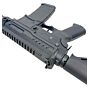 ZION ARMS fucile elettrico M4 R15 Long ETU (nero)