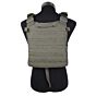 TMC 6094 style plate carrier (ranger green)