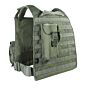 TMC MBSS style plate carrier with 4 pouches (ranger green)