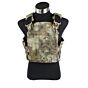 TMC STRANDHOGG style plate carrier (mandrake)
