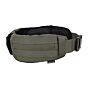 TMC cinturone balistico molle (ranger green)